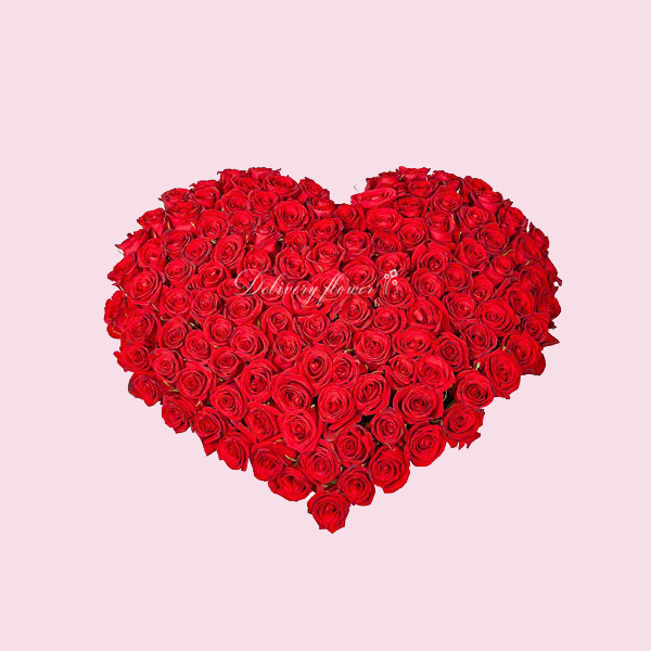 The language of roses