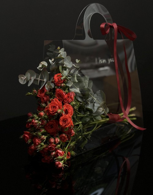 Stylish handbag Red