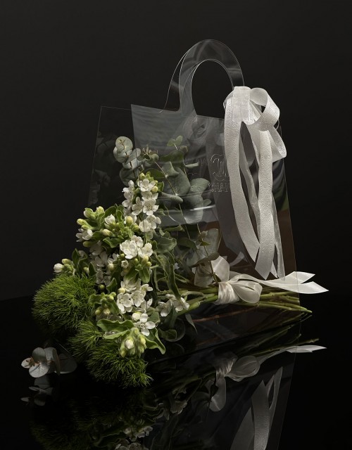 Stylish handbag White
